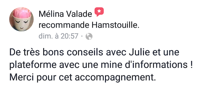 Recommandation cliente des services Hamstouille