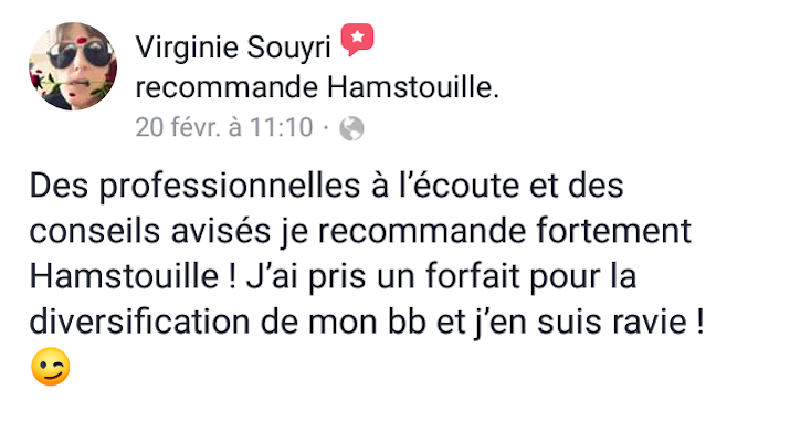 Recommandation cliente des services Hamstouille